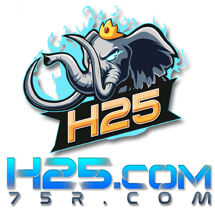 H25 logo
